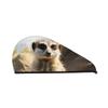 SDTYKHJ Hair Towel Wrap for Women Ultra Absorbent Coral Velvet Dry Hair Cap Meerkat Animal Hair Drying Towel with Button Quick Dry Bath Cap Hair Turban for Wet Hair Long Hair Curly Hair view 1