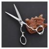 6.0-inch Bird Scissors Hairdressing Haircut Bangs Thinning Hair Cutting Shears view 3