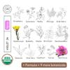 Organic28. 100% Organic Toner for Face, 24 Botanicals Formula. Helichrysum Face Mist. Natural Hydrating Toner. Vegan. Aloe Vera Face Spray. Aromatherapy. Hydrating Face Mist, 3.4 Fl. Oz. view 4