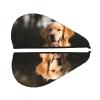 FHEBNDS Microfiber Hair Towel Cap Absorbent Hair Turban Towel Coral Velvet Hair Drying Towel Quick Dry Hair Wrap Cap with Button Golden Retriever Dog Bath Cap Hair Cap Gift for Women view 2