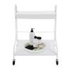 Beauty Salon Nail or Foot Bath Spa Portable Trolley Cart, Esthetician Trolley Cart, Manicure Foot Rest with Wheels and Handles, Pedicure Stool, for Foot Bath, Beauty Salons, Hair Salons (White) view 1
