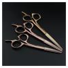 5/5.5/6'' Gold Scissors,Hair Clippers,Hairdresser'S Scissors,Hair Clippers,Hairdresser'S Scissors Hair Cutting Shears view 2