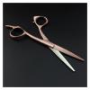 5/5.5/6'' Gold Scissors,Hair Clippers,Hairdresser'S Scissors,Hair Clippers,Hairdresser'S Scissors Hair Cutting Shears view 3