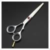 5.5 Inch Hairdressing Scissors,Hairdressing Scissors,Thinning Hairdressing Scissors,Hairdresser'S Scissors Hair Cutting Shears,Cutting view 1