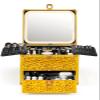 Qislee Makeup Box with Drawer and A Detachable Lighted Mirror, Waterproof Travel Train Case, Cosmetic Organizer and Makeup Suitcase with Adjustable Dividers, Magnetic LED Mirror (Luxury Gold) view 1