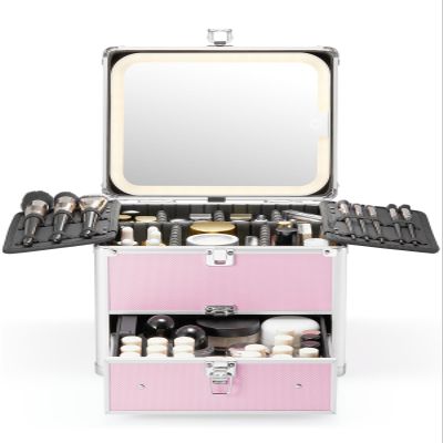 Qislee Makeup Box with Drawer and A Detachable Lighted Mirror, Waterproof Travel Train Case, Cosmetic Organizer and Makeup Suitcase with Adjustable Dividers, Magnetic LED Mirror (ICY Pink)