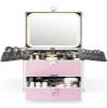 Qislee Makeup Box with Drawer and A Detachable Lighted Mirror, Waterproof Travel Train Case, Cosmetic Organizer and Makeup Suitcase with Adjustable Dividers, Magnetic LED Mirror (ICY Pink) view 1