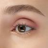 ANNA SUI Matte Eye Color 301 view 2