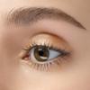 ANNA SUI Shiny Eye Color 701 view 2