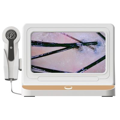 Elitzia Skin Hair Analyzer 10 Inch LCD Screen Digital 50X/200X Lens HD Scalp Detector Skin Hair Magnifier Analyzer Professional Hair Skin Freeze Frame Analysis Scanner Hair Follicle Detector ETDA10