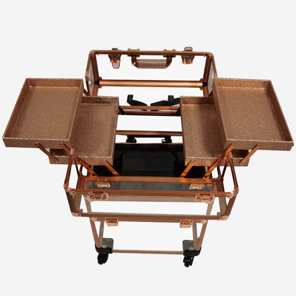 JYXYXSCP Acrylic Trolley Makeup Box Professional Double-Layer Nail and Hair Storage Tool Box with Wheels