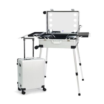 JYXYXSCP Professional Cosmetic Case with 8LED Lights, Telescopic Stand, Universal Wheel Cosmetic Case, TSA Code Lock Traveling Cart (Silver 22INCH)