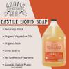Adams Handmade Soap Thick Organic Castile Liquid Hand Soap 1 Gallon Refill - Cinnamon Spice view 3