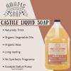 Adams Handmade Soap Thick Organic Castile Liquid Hand Soap 1 Gallon Refill - Patchouli view 3