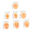 NOLITOY Diverse Silicone Body Parts Models Ears Nose Mouth Tongue Realistic Training Tool for Beauty Salons and Home Use view 2