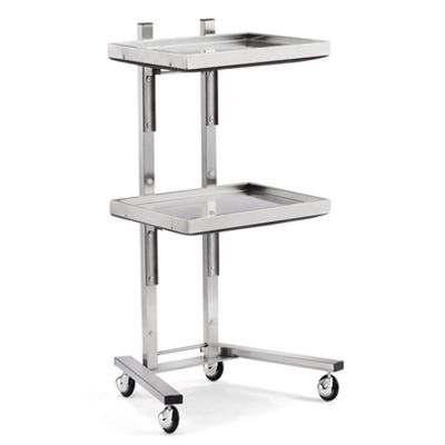 Tattoo Stainless Steel Salon Tray On Wheels - Collapsible Utility Cart 2 Tiers, Foldable Stand Storage Organizer with Wheels (Silver)