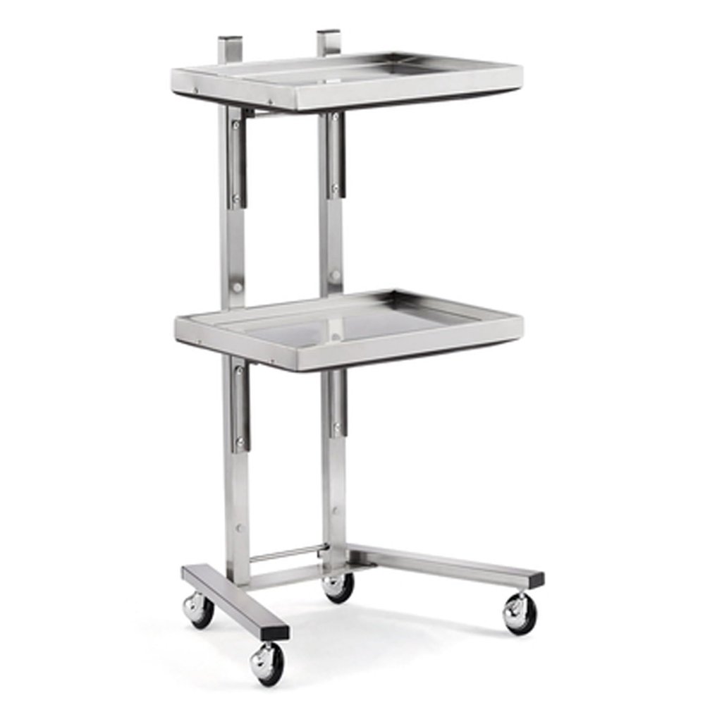 Tattoo Stainless Steel Salon Tray On Wheels - Collapsible Utility Cart 2 Tiers, Foldable Stand Storage Organizer with Wheels (Silver)