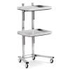 Tattoo Stainless Steel Salon Tray On Wheels - Collapsible Utility Cart 2 Tiers, Foldable Stand Storage Organizer with Wheels (Silver) view 1