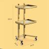 Tattoo Stainless Steel Salon Tray On Wheels - Collapsible Utility Cart 2 Tiers, Foldable Stand Storage Organizer with Wheels (Silver) view 2