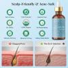 USDA Organic Hair Oil for Frizzy Hair with Argan Jojoba & Castor | Frizz Control Hair Treatment for Curly Hair | Hair Serum & Moisturizer for Dry, Damaged Hair | Cold Pressed Hair Products for Women view 3