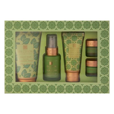 SPA CEYLON Neem & Tea Tree Skin Care Essentials with Ayurvedic Natural Ingredients | For Oily & Acne-Prone Skin | Skincare Pampering Kit