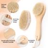 2Pcs Dry Body Brush Set Include Vegan with Handle and Brushing Body,Natural Bristle Brush for Deep Exfoliation Lymphatic Drainage and Blood Circulation Skin Health view 3