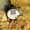 Organic Grass Feed Tallow Sugar Scrub view 1