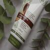 Yves Rocher Repair Lotion Shea Butter for Extra Dry Skin Women Men Day Care Milk for Body - 200 ml / 6.7 fl.oz view 4