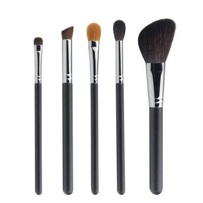 5Pcs Makeup Brush Set Portable Eye Shadow Powder Blush Brush Beginner Beauty Tool (Black)