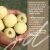 JDBotanics Marula Rooibos Body Scrub view 4