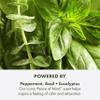 Origins Peace of Mind Relaxing Bath Oil | Softens & Nourishes | with Peppermint, Basil, & Eucalyptus Aromatherapy Essential Oils, 5 Fl Oz view 4