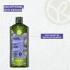 Yves Rocher Volume Plumping Shampoo with Quinoa Extract Visibly Increases Hair Volume After Just 3 Uses - 300 ml./10.1 view 4