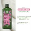 Yves Rocher Shampoo for Blonde and Light Hair Protection, Shine Women Day Care Raspberry Vinegar - 300 ml./10.1 fl.oz. view 2