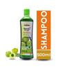 Be.auty Post Herbal Shampoo With Conditioner Aloe Amla 500ml|Anti Dandruff Shampoo, With The Goodness Of Aloe Amla 500ml view 2