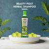 Be.auty Post Herbal Shampoo With Conditioner Aloe Amla 500ml|Anti Dandruff Shampoo, With The Goodness Of Aloe Amla 500ml view 3