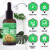 Artekas Innovation HYDROLYZED RICE PROTEIN - Liquid, 2 Ounces - For Homemade Hair Care, Skin Care, Body Washes, Shampoos, and Conditioners - 2 Vials (1 Ounce Each) - Includes Pipette and Screw Caps view 2