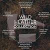 Scottish Fine Soaps Wild Heather Hand & Body Lotion 300ml  Hydrating Lotion Moisturiser with Allantoin and Heather Extract view 2
