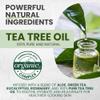 KESMEDIK Tea Tree Oil Body & Foot Soap + Tea Tree Oil Balm Care Bundle | Deeply Cleanses, Soothes Jock Itch, Athlete's Foot & Ringworm, Fights Body Odor view 4