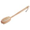 Baluue Long Handle Bath Brush Skin Scrubber for Shower Exfoliating Brush Back Scratcher Lotion Applicator view 1