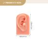 VINTORKY Professional Piercing Dummy Ears Set of 2 Silicone Ear Models for Ear Piercing Practice Training view 2