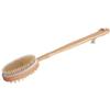 Anneome Long Handle Bath Brush Exfoliating Body Scrubber for Shower Back Scrubber view 1
