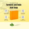 Turmeric Skin Cleansing Soap - Natural Glow Face & Body Cleanser for Acne, Dark Spots & Scars, Gentle for All Skin Types - 2 Bars (4.5 oz) view 3