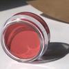 Daughter Earth Vegan Lip and Cheek Tint |Matte Natural Blush for Women | Lip Tint with Vitamin E | Nourishing Cheek Tint, 4.5g/0.16Ounce view 2