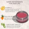 Daughter Earth Vegan Lip and Cheek Tint |Matte Natural Blush for Women | Lip Tint with Vitamin E | Nourishing Cheek Tint, 4.5g/0.16Ounce view 3