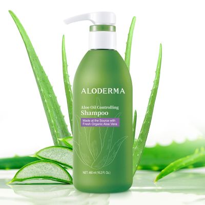 Aloderma Aloe Oil Control Shampoo 16oz - Made within 12 Hours of Harvest Fresh, Organic Aloe Vera (No Water Added), Tea Tree Oil, and Willow Bark Extract to Gently Cleanse Without Stripping or Drying