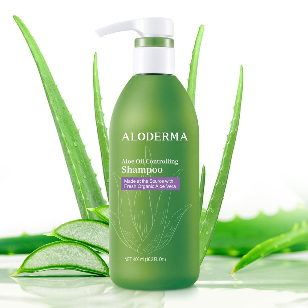 Aloderma Aloe Oil Control Shampoo 16oz - Made within 12 Hours of Harvest Fresh, Organic Aloe Vera (No Water Added), Tea Tree Oil, and Willow Bark Extract to Gently Cleanse Without Stripping or Drying