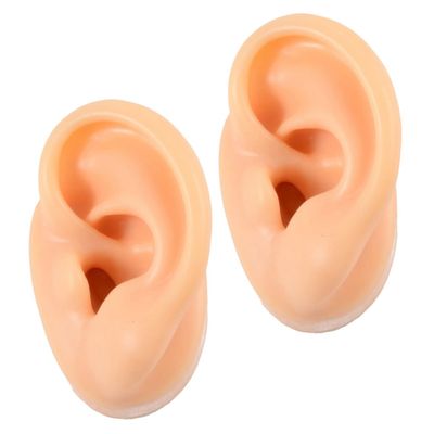 BIUDECO 2pcs Ear Molds for Jewelry Display Realistic Fake Ear Models for Piercing Practice and Teaching for Earring Showcase and Training