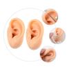 BIUDECO 2pcs Ear Molds for Jewelry Display Realistic Fake Ear Models for Piercing Practice and Teaching for Earring Showcase and Training view 3