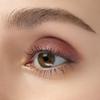 ANNA SUI Shiny Eye Color 500 view 2