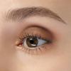 ANNA SUI Matte Eye Color 501 view 2